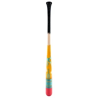 Batte-crayon souvenir n° 2 des Astros de Houston de Victus Sports