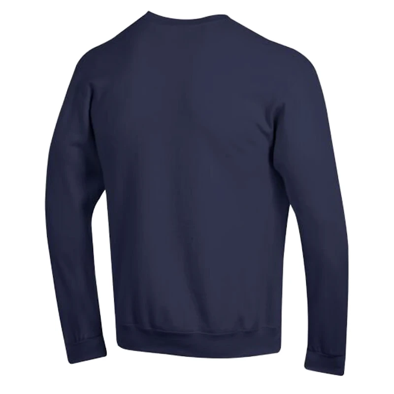 Sweat-shirt en polaire Powerblend bleu marine Champion pour homme, Houston Texans
