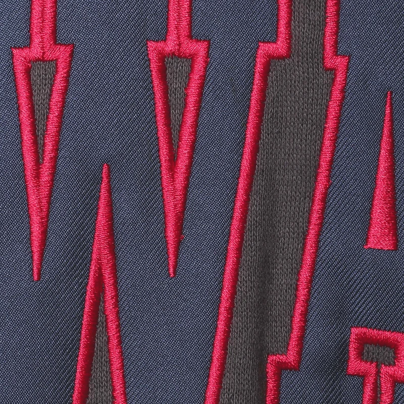 Chandail à capuchon Howard Bison Isle Colosseum anthracite pour hommes