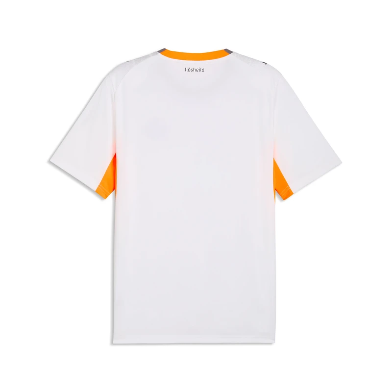 Men's Puma  White Iceland National Team 2026 Away Replica Jersey