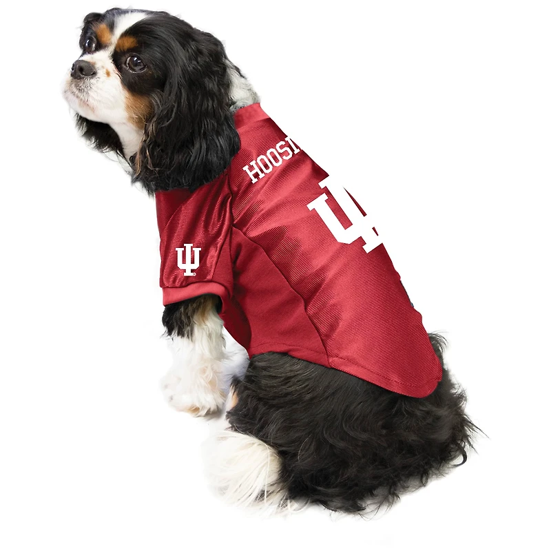 Little Earth Indiana Hoosiers Pet Stretch Jersey