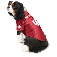 Little Earth Indiana Hoosiers Pet Stretch Jersey