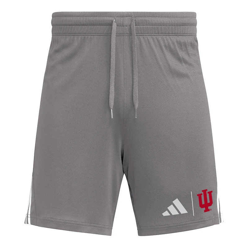 Short adidas Indiana Hoosiers AEROREADY 7" gris pour homme