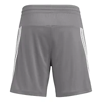 Short adidas Indiana Hoosiers AEROREADY 7" gris pour homme