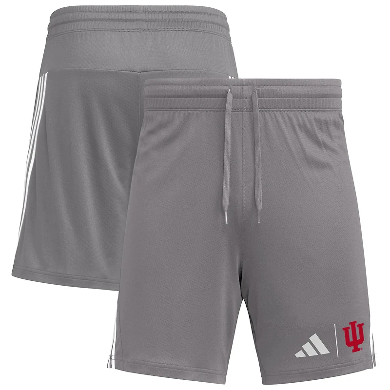 Short adidas Indiana Hoosiers AEROREADY 7" gris pour homme