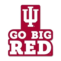 WinCraft  Indiana Hoosiers Slogan Collector Pin