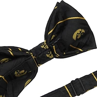 Men's Black Iowa Hawkeyes Oxford Bow Tie