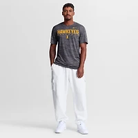 Men's Nike Black Iowa Hawkeyes Dugout Velocity Dri-FIT T-Shirt