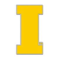 pin de collection WinCraft avec logo secondaire des Iowa Hawkeyes