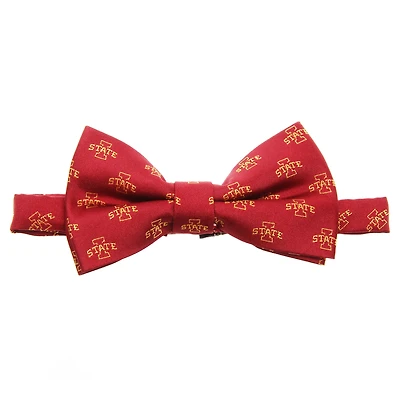 Nœud papillon à répétition Iowa State Cyclones pour homme