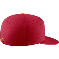 Nike Cardinal Iowa State Cyclones Aero True Baseball Performance Casquette ajustée pour homme