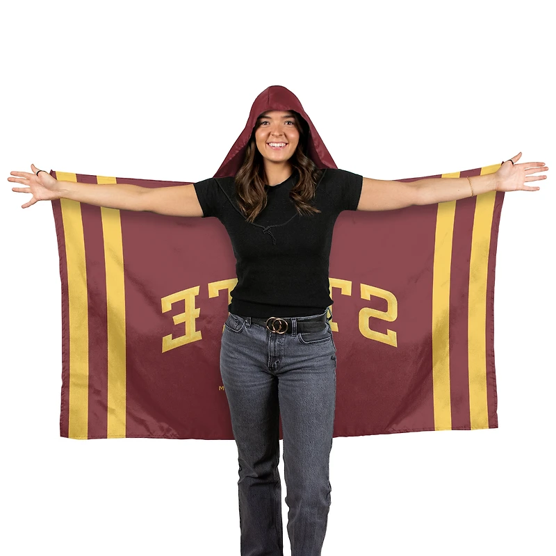 Drapeau à capuche WinCraft Iowa State Cyclones 3' x 5'