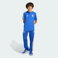 Youth adidas Blue Italy National Team FIFA x World Cup Alphaskin T-Shirt