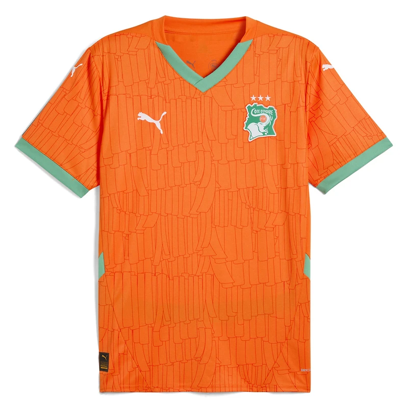 Men's Puma Orange Ivory Coast National Team 2025 Home Replica Jersey