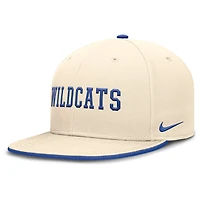 Men's Nike Natural Kentucky Wildcats Primetime True Performance Fitted Hat