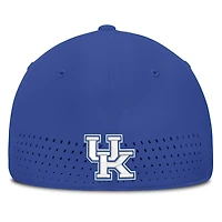 Men's Nike Royal Kentucky Wildcats Gameday Aerobill Swooshflex Dri-FIT Hat