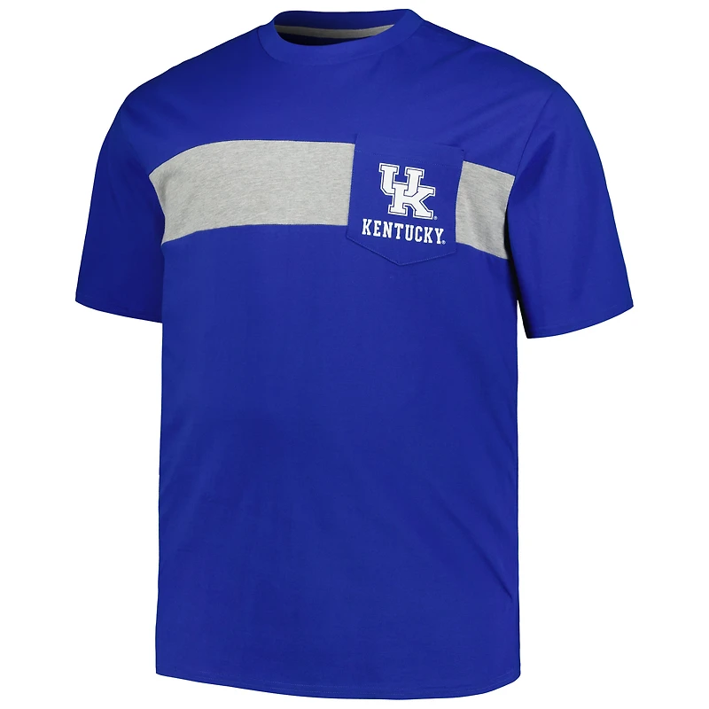 Men's Profile Royal Kentucky Wildcats Big & Tall Color Stripe T-Shirt