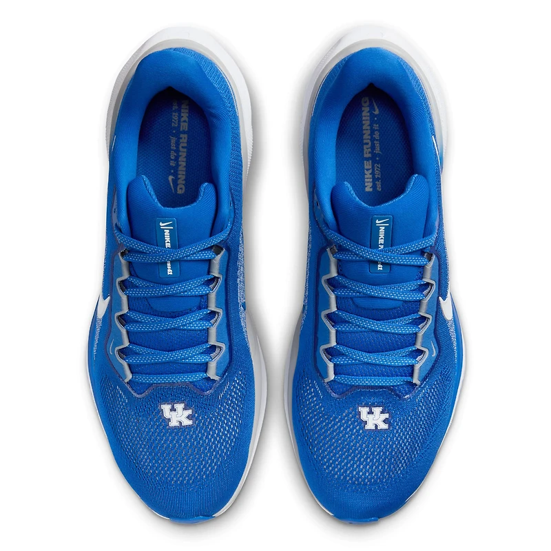 Unisex Nike Royal Kentucky Wildcats Zoom Pegasus 41 Running Shoes