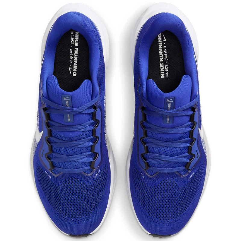Unisex Nike Royal Kentucky Wildcats Zoom Pegasus 41 Running Shoes