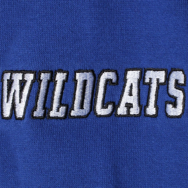 Youth Royal Kentucky Wildcats Big Logo Pullover Hoodie