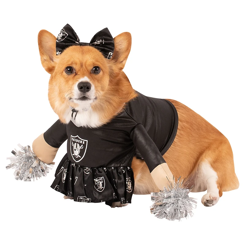 Las Vegas Raiders Cheer Dog Costume