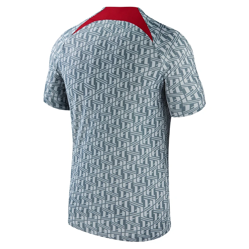 Haut Performance d'Avant-Match Liverpool 2023/24 Homme Nike Gris