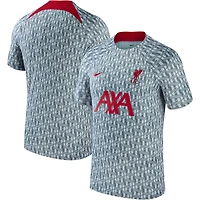Haut Performance d'Avant-Match Liverpool 2023/24 Homme Nike Gris