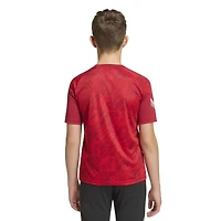 Youth adidas  Red Liverpool 2026 Home Pre-Match Top