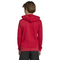 Youth adidas Red Liverpool DNA Hoodie