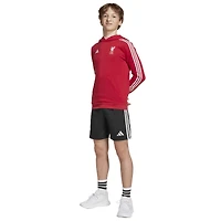 Youth adidas Red Liverpool DNA Hoodie