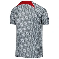 Youth Nike Gray Liverpool Pre-Match Top