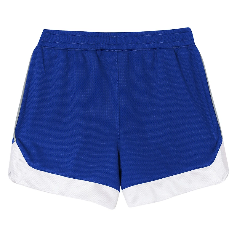 Toddler Outerstuff  Royal Los Angeles Dodgers Pinch Hitter T-Shirt & Shorts Set
