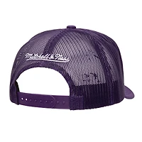 Casquette ajustable de camionneur OTC pour hommes, violet, Los Angeles Lakers Core Evergreen OTC, Mitchell & Ness