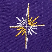 Men's Mitchell & Ness Purple Los Angeles Lakers Starlight Snapback Hat