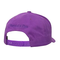 Men's Mitchell & Ness Purple Los Angeles Lakers Washed Out Tonal Logo Snapback Hat