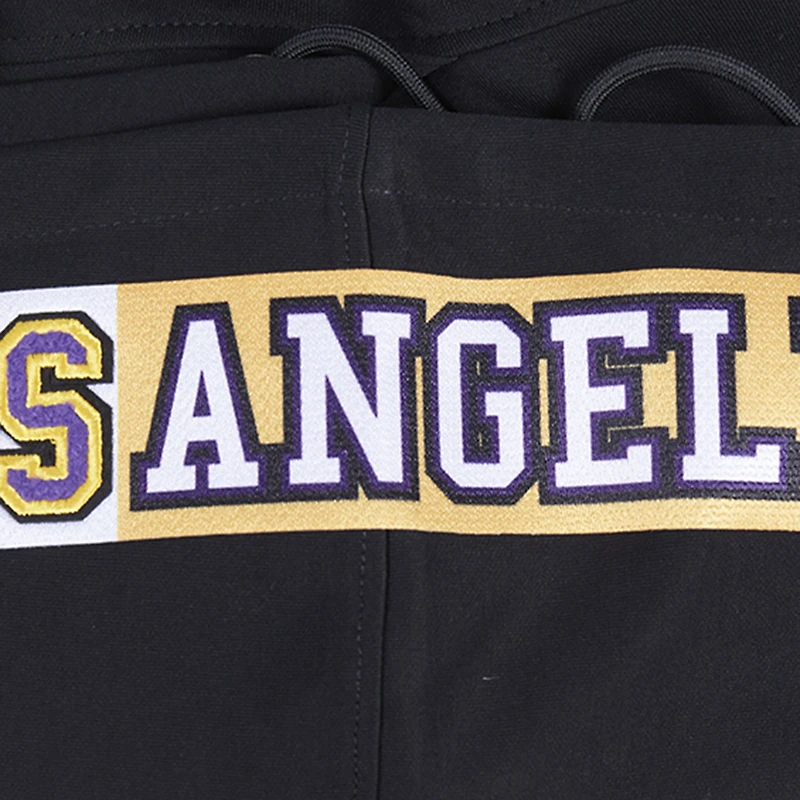 Sweat à capuche logo fendu Pro Standard pour homme, noir, Los Angeles Lakers