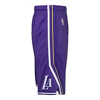 Youth Jordan Brand Purple Los Angeles Lakers Statement Edition Swingman Dri-FIT Shorts