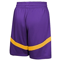 Youth Nike Purple Los Angeles Lakers Practice Mesh Shorts