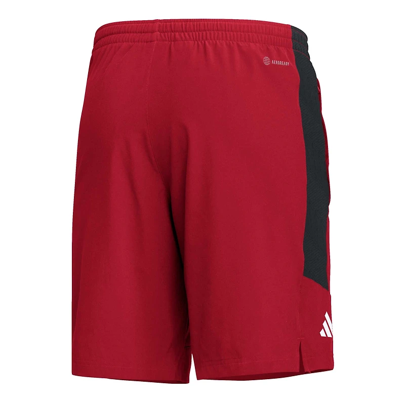 Short adidas Louisville Cardinals AEROREADY rouge pour homme