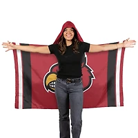 Drapeau à capuche WinCraft Louisville Cardinals 3' x 5'