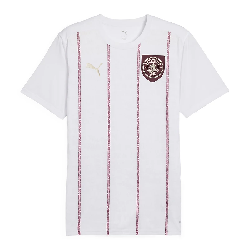 Men's Puma  White Manchester City 2024/25 Pre-Match Training Jersey