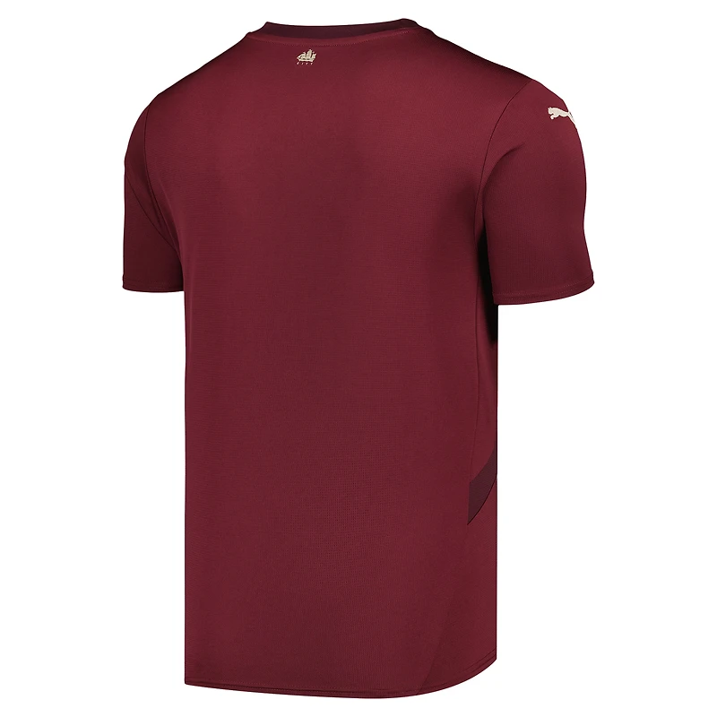 Men's Puma  Burgundy Manchester City 2024/25 Third Replica Blank Jersey