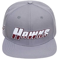 Men's Pro Standard Gray Maryland Eastern Shore Hawks Hawks Logo Snapback Hat