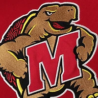 Chandail à capuchon gros logo Maryland Terrapins de stade athlétique pour jeunes