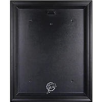 Miami Dolphins Black Framed Jersey Display Case