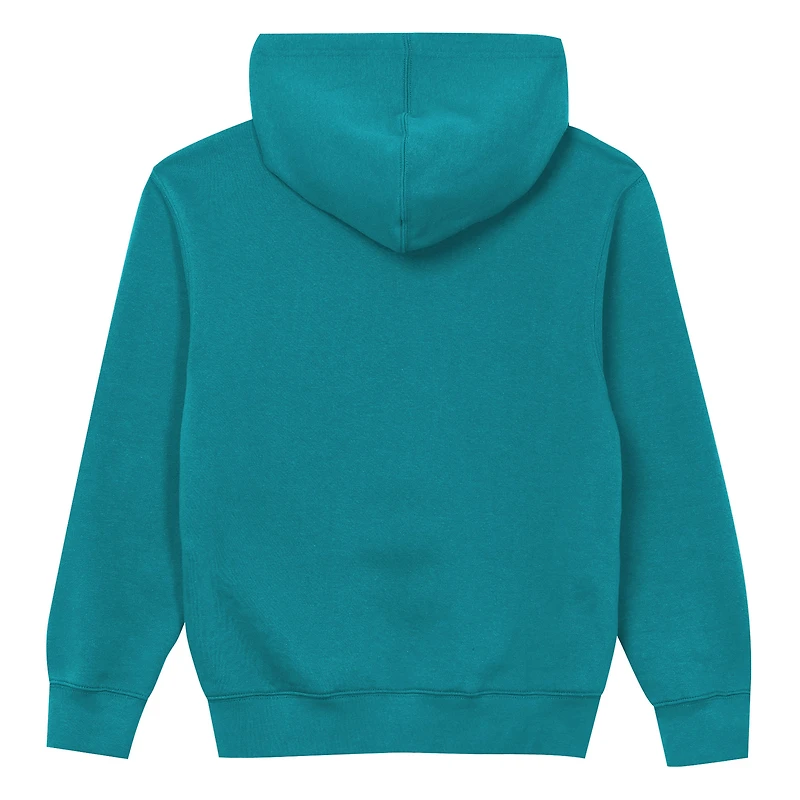 Preschool Outerstuff Aqua Miami Dolphins Back to Basics Hoodie