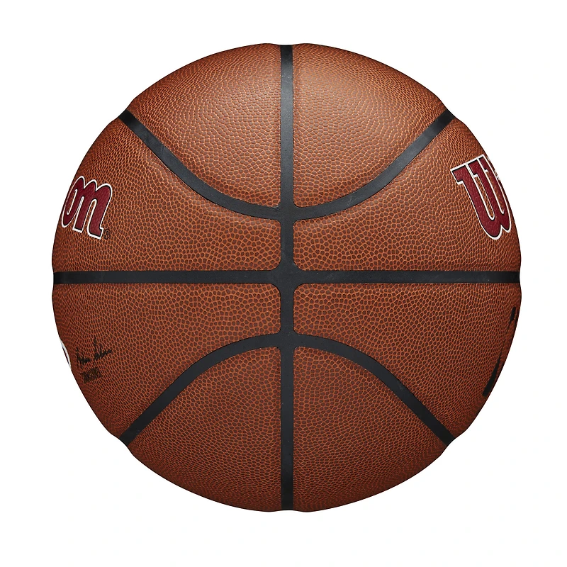 Miami Heat Wilson NBA Team Alliance Basketball