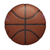 Miami Heat Wilson NBA Team Alliance Basketball