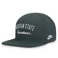 Men's Nike  Green Michigan State Spartans Legacy Snapback Hat