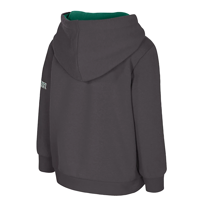 Toddler Colosseum  Charcoal Michigan State Spartans Big Logo Volume Fleece Pullover Hoodie